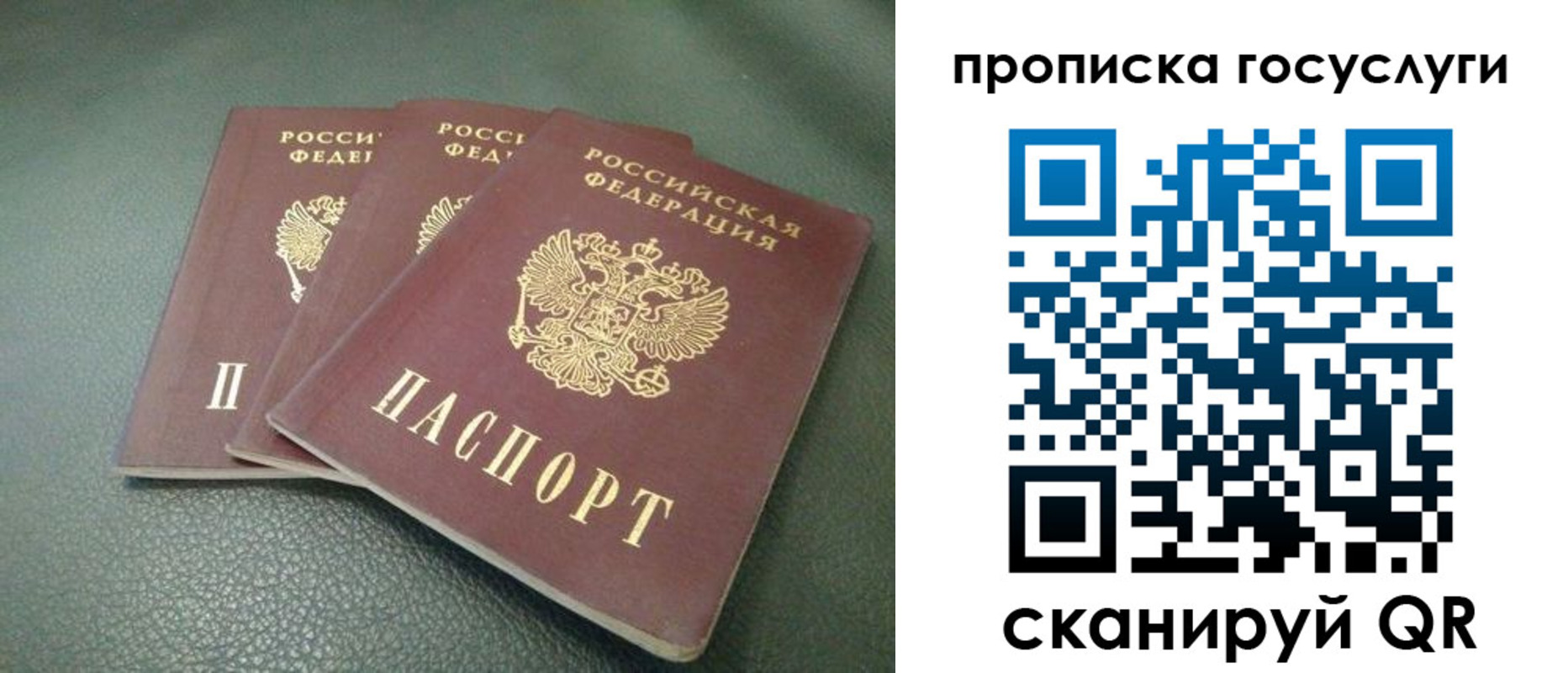 временная регистрация госуслуги в Апатитах
